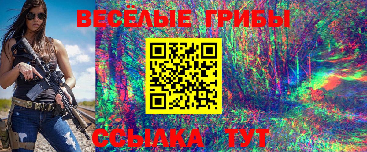 Псилоцибиновые грибы GOLDEN TEACHER  Вход с VPN  как найти   Городец  Псилоцибиновые грибы Psilocybine cubensis 